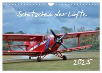 Vorderes Coverbild Schätzchen der Lüfte (Wandkalender 2025 DIN A4 quer), CALVENDO Monatskalender