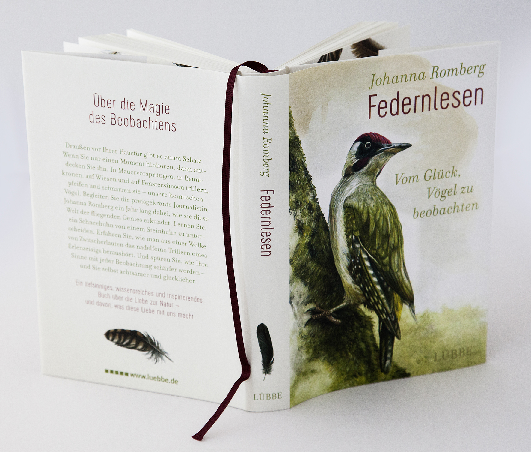 Beispielinhalt (Bild) Federnlesen
