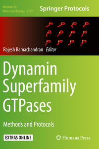 Vorderes Coverbild Dynamin Superfamily GTPases