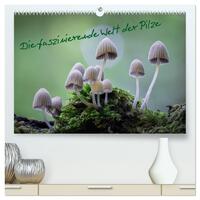 Vorderes Coverbild Die faszinierende Welt der Pilze (hochwertiger Premium Wandkalender 2025 DIN A2 quer), Kunstdruck in Hochglanz