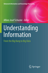 Vorderes Coverbild Understanding Information