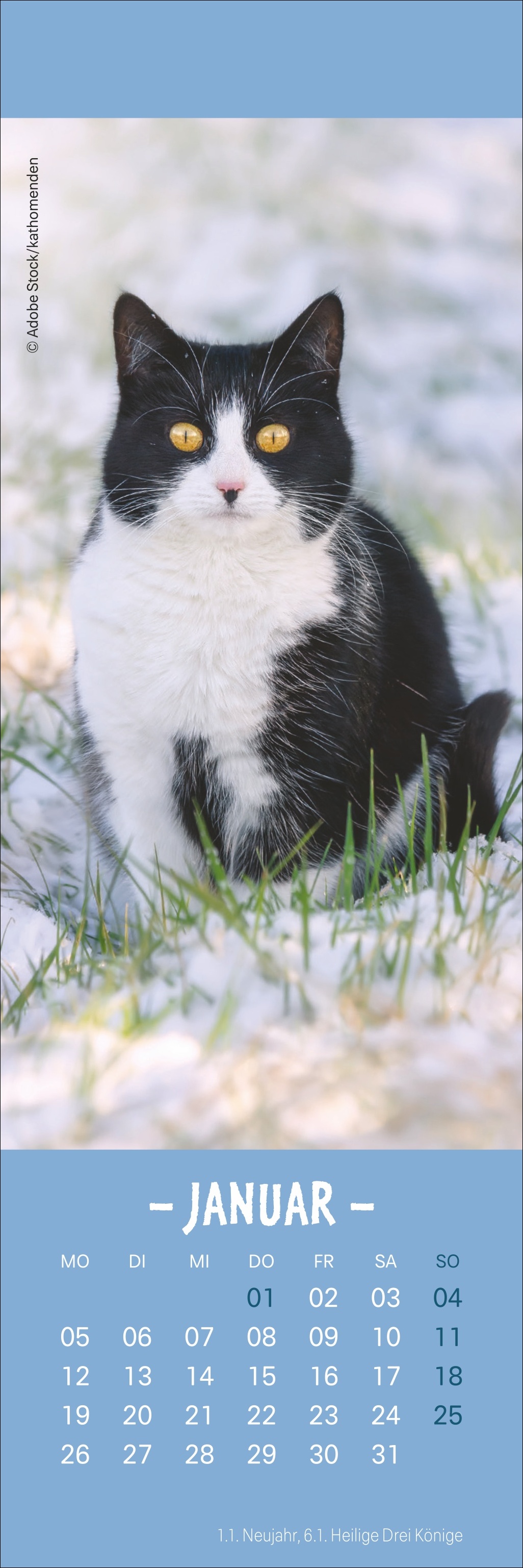 Beispielinhalt (Bild) Katzen Lesezeichen & Kalender 2026