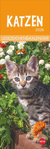 Vorderes Coverbild Katzen Lesezeichen & Kalender 2026
