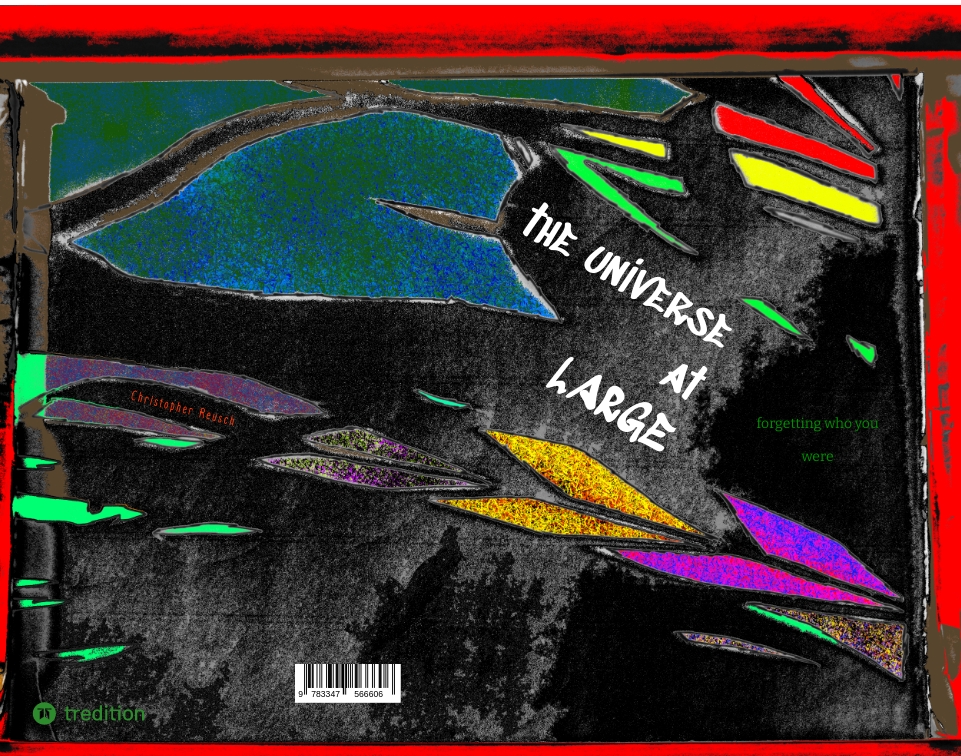 Gesamtes Coverbild the universe at LARGE