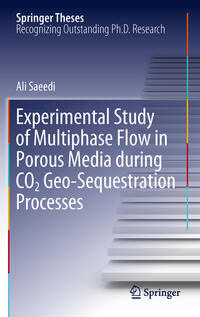 Vorderes Coverbild Experimental Study of Multiphase Flow in Porous Media during CO2 Geo-Sequestration Processes