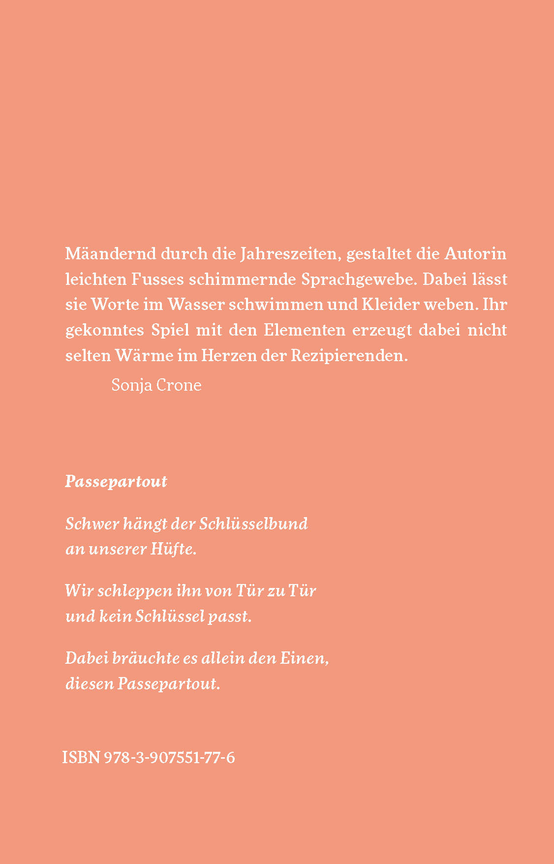 Rückseitencover Seitenkanal II