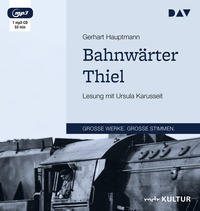 Vorderes Coverbild Bahnwärter Thiel
