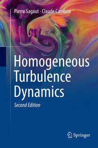 Vorderes Coverbild Homogeneous Turbulence Dynamics