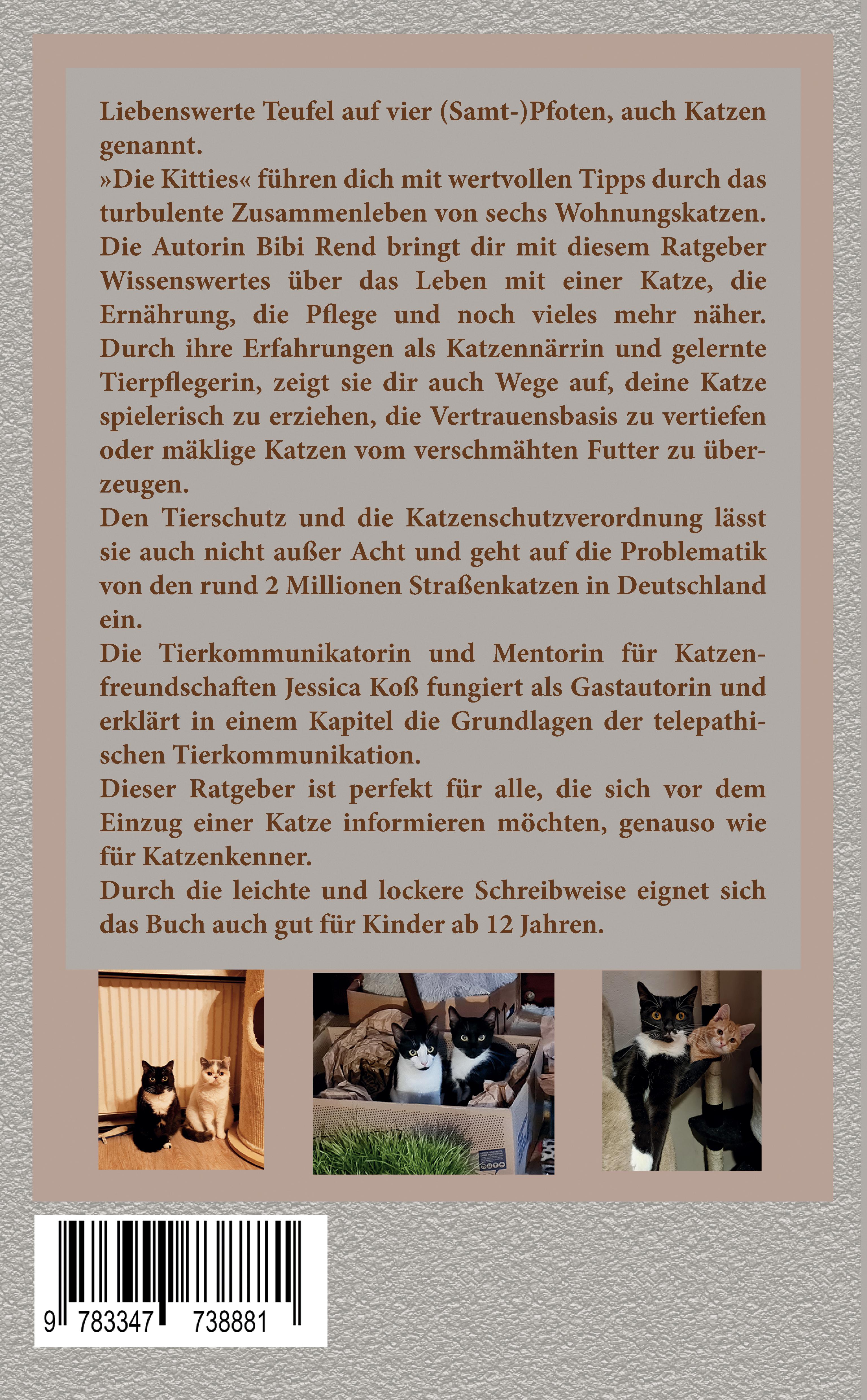 Rückseitencover Die Kitties