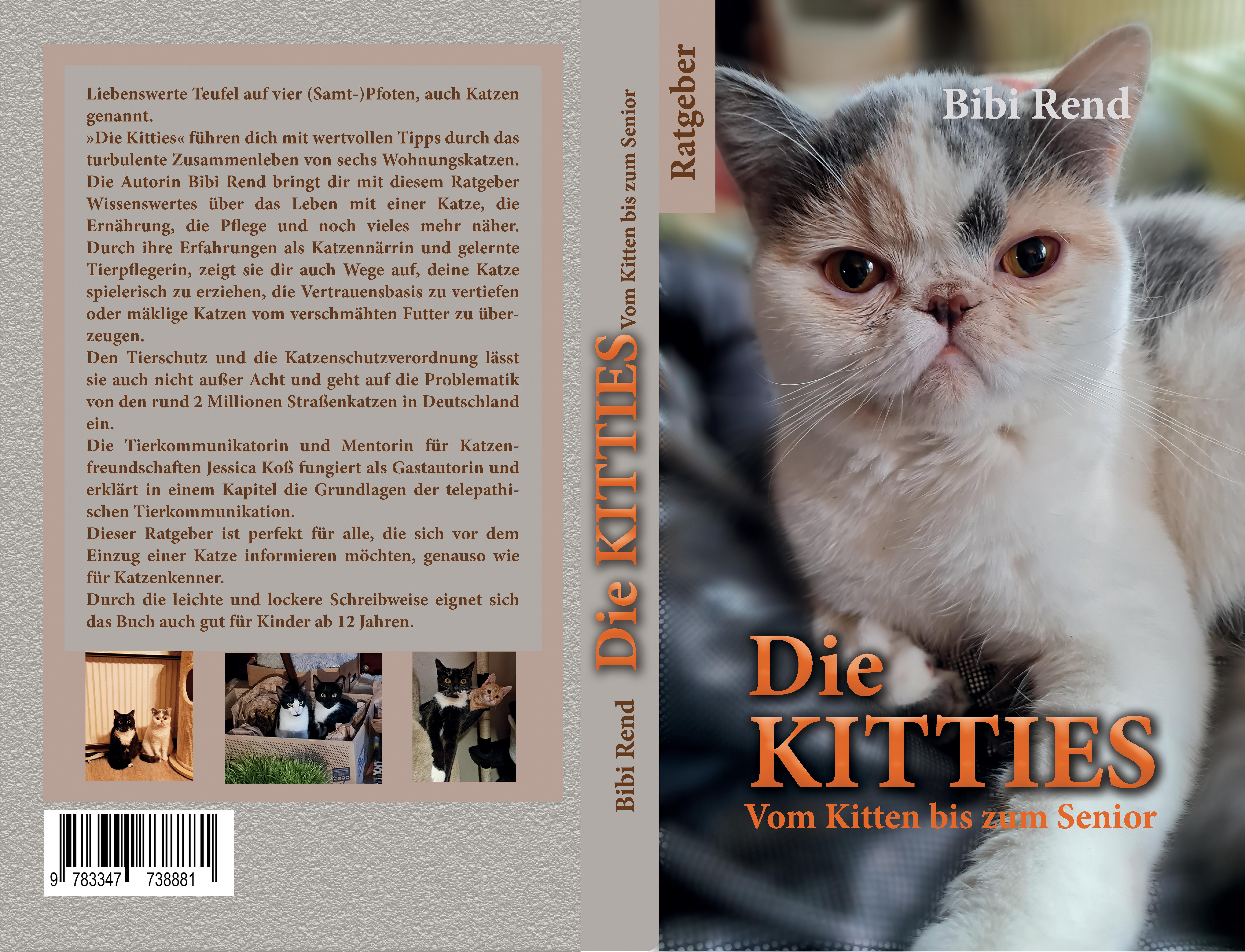 Gesamtes Coverbild Die Kitties
