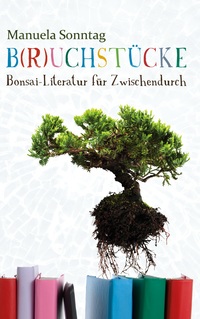 Vorderes Coverbild B(r)uchstücke