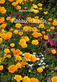 Vorderes Coverbild Tuhkimon kengät