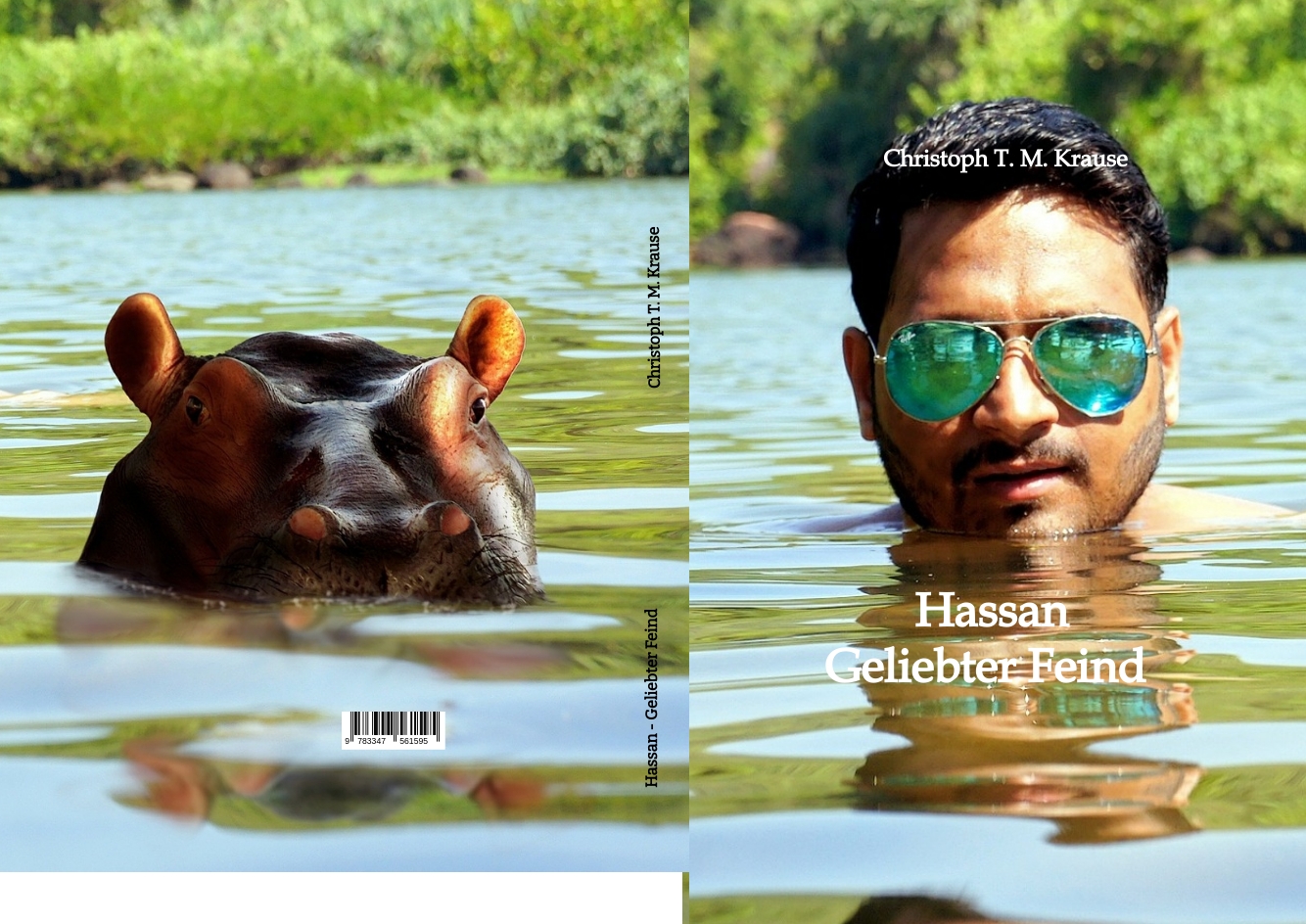 Gesamtes Coverbild Hassan - Geliebter Feind