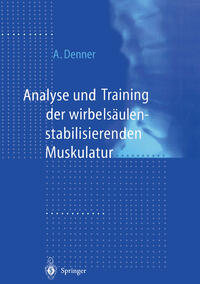 Vorderes Coverbild Analyse und Training der wirbelsäulenstabilisierenden Muskulatur