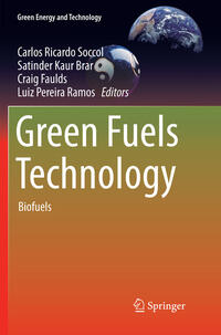 Vorderes Coverbild Green Fuels Technology