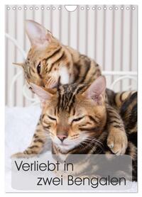 Vorderes Coverbild Verliebt in zwei Bengalen (Wandkalender 2026 DIN A4 hoch), CALVENDO Monatskalender