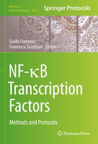 Vorderes Coverbild NF-?B Transcription Factors