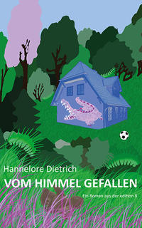 Vorderes Coverbild Vom Himmel gefallen