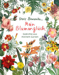 Vorderes Coverbild Mein Blumenglück