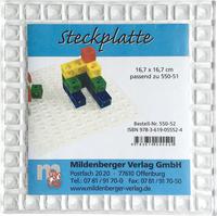 Vorderes Coverbild Steckplatte, passend zu Steckwürfeln 978-3-619-05551-7
