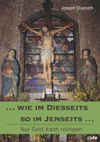 Vorderes Coverbild Wie im Diesseits so im Jenseits