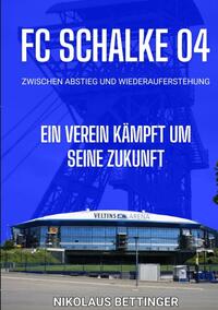 Vorderes Coverbild FC Schalke 04 - Zwischen Abstieg und Wiederauferstehung