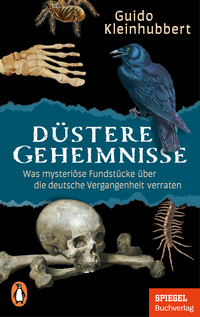 Vorderes Coverbild Düstere Geheimnisse