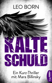 Vorderes Coverbild Kalte Schuld