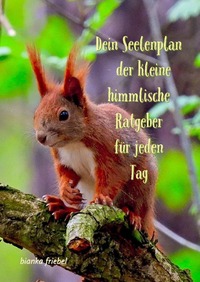Vorderes Coverbild Dein Seelenplan - der kleine himmlische Ratgeber für jeden Tag