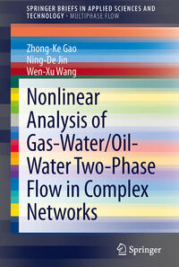 Vorderes Coverbild Nonlinear Analysis of Gas-Water/Oil-Water Two-Phase Flow in Complex Networks