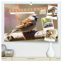 Vorderes Coverbild Gefiederte Gartengäste, Spatzenleben (hochwertiger Premium Wandkalender 2025 DIN A2 quer), Kunstdruck in Hochglanz