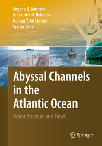 Vorderes Coverbild Abyssal Channels in the Atlantic Ocean