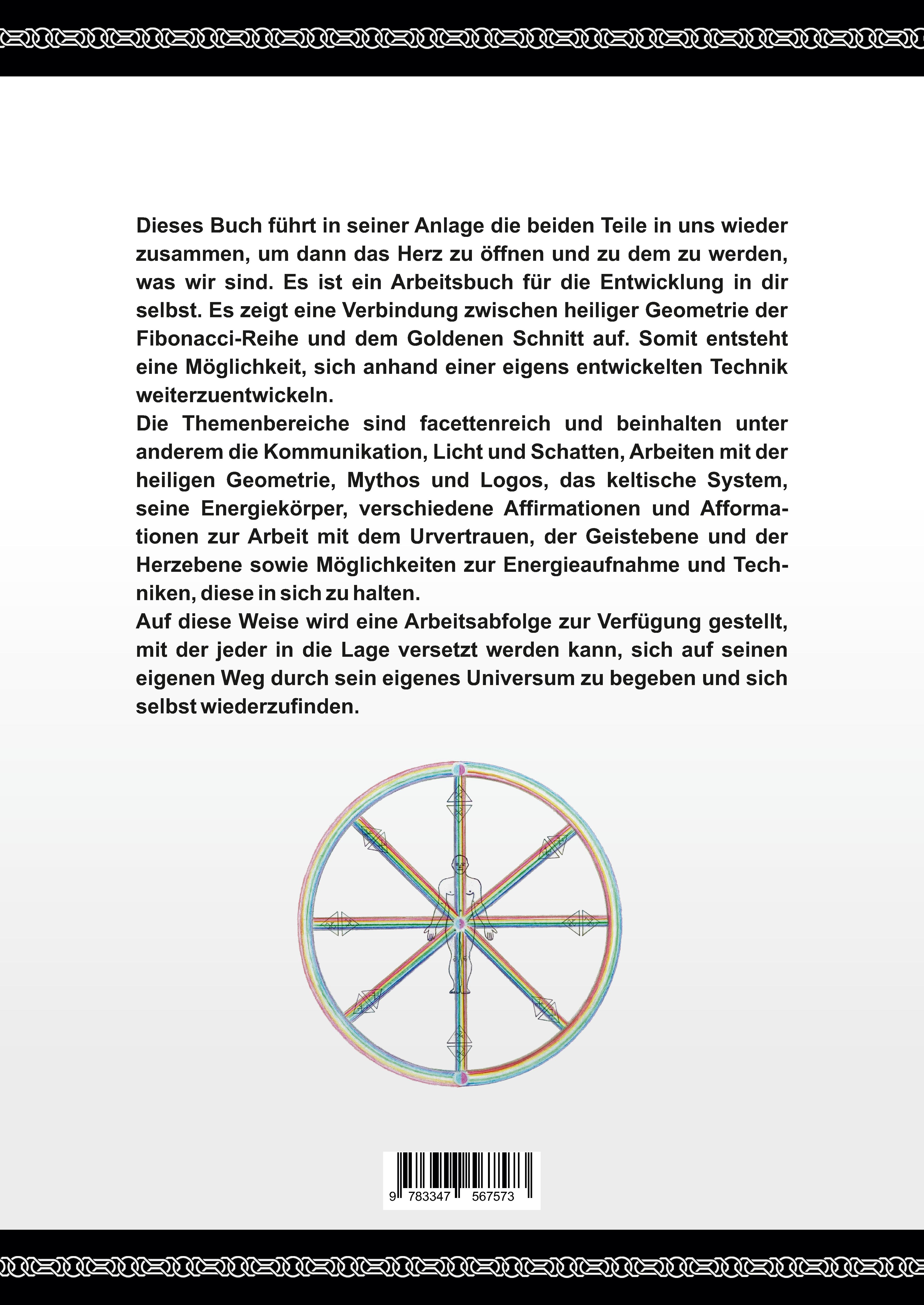 Rückseitencover Allmensch — Erwachen