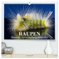 Vorderes Coverbild Raupen - Skurrile Verwandlungskünstler (hochwertiger Premium Wandkalender 2025 DIN A2 quer), Kunstdruck in Hochglanz
