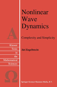 Vorderes Coverbild Nonlinear Wave Dynamics