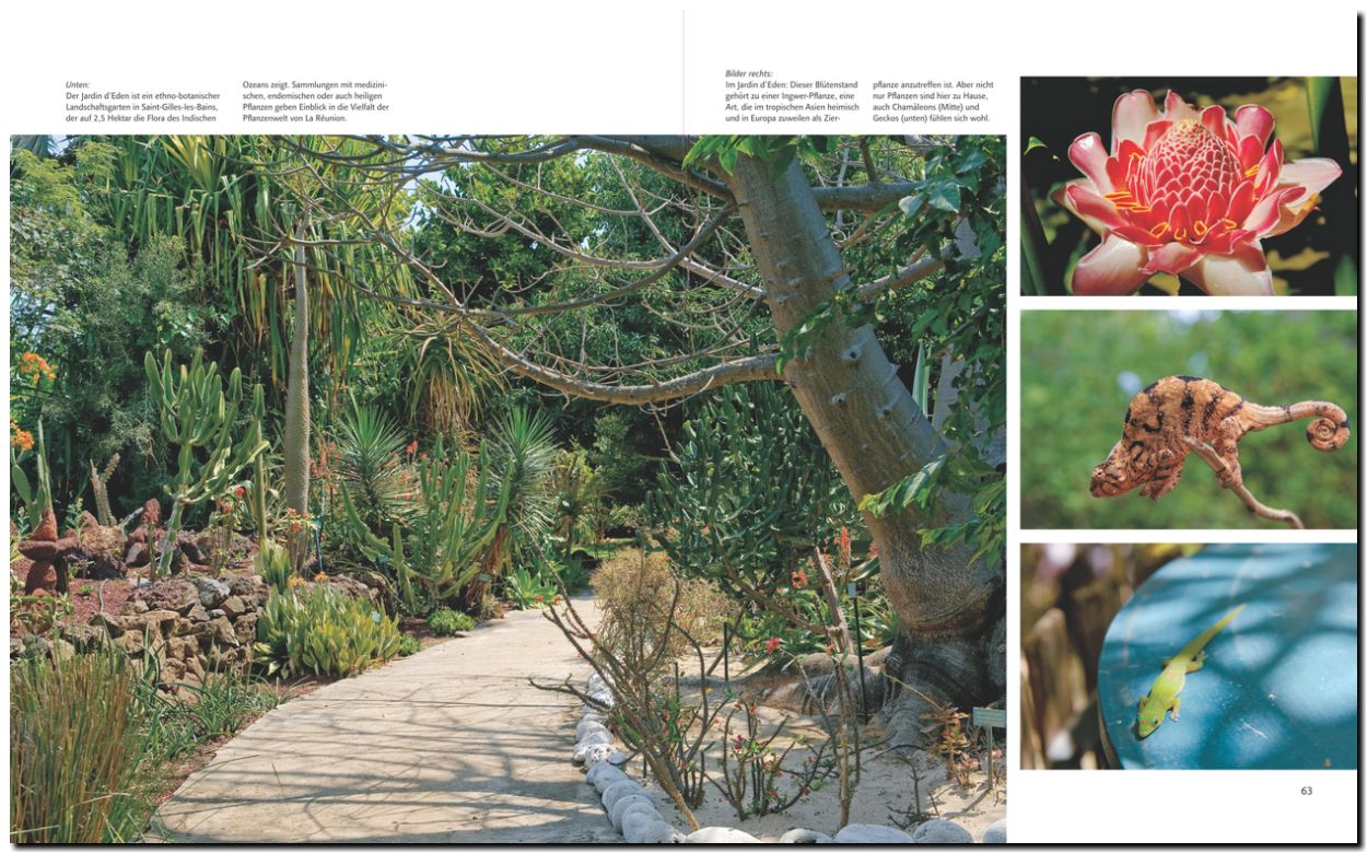Beispielinhalt (Bild) Horizont La Réunion - Paradies im Indischen Ozean