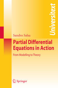 Vorderes Coverbild Partial Differential Equations in Action