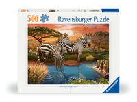 Vorderes Coverbild Erwachsenenpuzzle 500 Teile - Zebras am Wasserloch