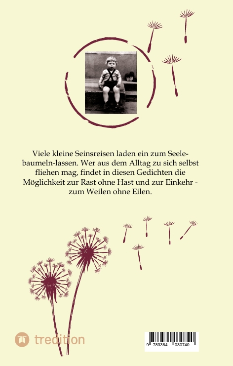 Rückseitencover Meine SEIN(e)-Reime