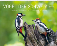Vorderes Coverbild Vögel der Schweiz 2025