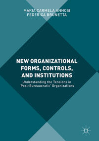 Vorderes Coverbild New Organizational Forms, Controls, and Institutions