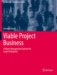 Vorderes Coverbild Viable Project Business