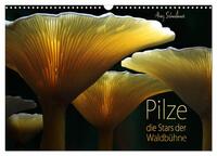 Vorderes Coverbild Pilze - die Stars der Waldbühne (Wandkalender 2025 DIN A3 quer), CALVENDO Monatskalender