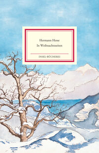 Vorderes Coverbild In Weihnachtszeiten