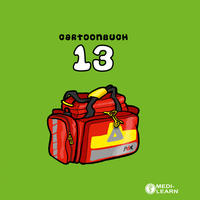 Vorderes Coverbild Cartoonbuch 13