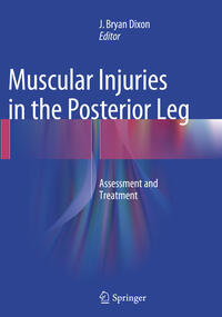 Vorderes Coverbild Muscular Injuries in the Posterior Leg