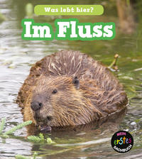 Vorderes Coverbild Im Fluss