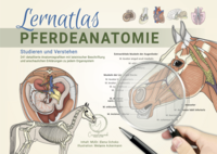 Vorderes Coverbild Lernatlas Pferdeanatomie