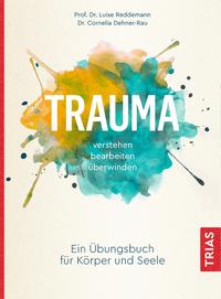 Vorderes Coverbild Trauma verstehen, bearbeiten, überwinden