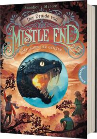 Vorderes Coverbild Der Druide von Mistle End 2: Der Zorn der Götter